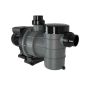  Pompe piscine CALITA 2 1cv - Reconditionné (A)