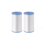 Lot de 2 cartouches S2 PureSPa