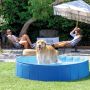 Piscine Pliable pour Animaux Intex