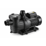 Pompe de piscine Mono - 1,5 CV - Reconditionné (A)