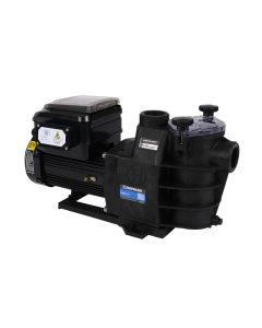 Pompe Filtration Piscine Max Flo VS 1 CV