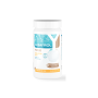 pH Plus 1 kg BAYROL