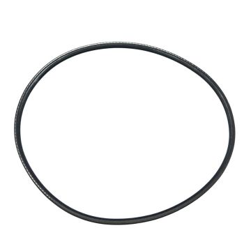 Courroies de transmission pour robot Flamingo (lot de 2)