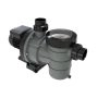 Pompe Piscine Calita 2 1,5 CV - Reconditionné (B)