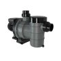 Pompe piscine 1cv Calita 2 irripool - Reconditionné (A)