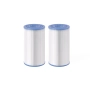 Lot de 2 cartouches S2 PureSPa