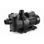 Pompe de piscine Mono - 1,5 CV - Reconditionné (A)