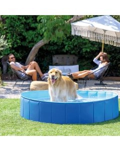 Piscine Pliable pour Animaux Intex