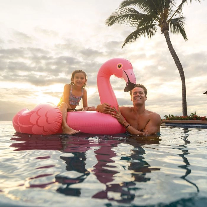 Matelas Gonflable Flamant Rose XXL – Bouée Géante 2-3 Personnes, 190x190x130 Cm, Beach Toy, La Classe à La Piscine