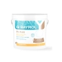 pH Plus 5 kg BAYROL