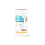 pH Plus 1 kg BAYROL