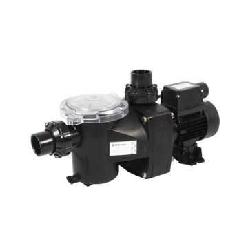 Pompe de piscine Freeflo 1,5CV reconditionnee A