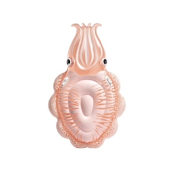 Matelas Seiche Nacrée Intex