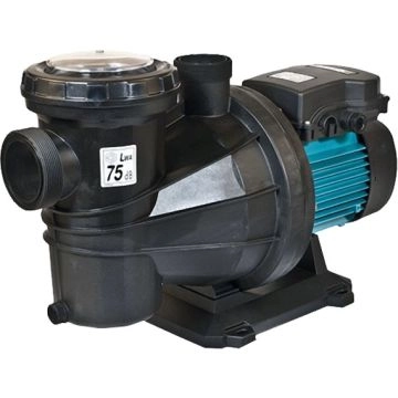 Pompe piscine 1,5 Cv SILVER ESPA mono reconditionée (A)