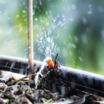 Goutte à goutte
