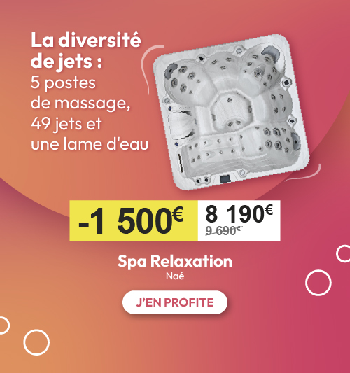spa nae 5 postes de massages 49 jets irripiscine