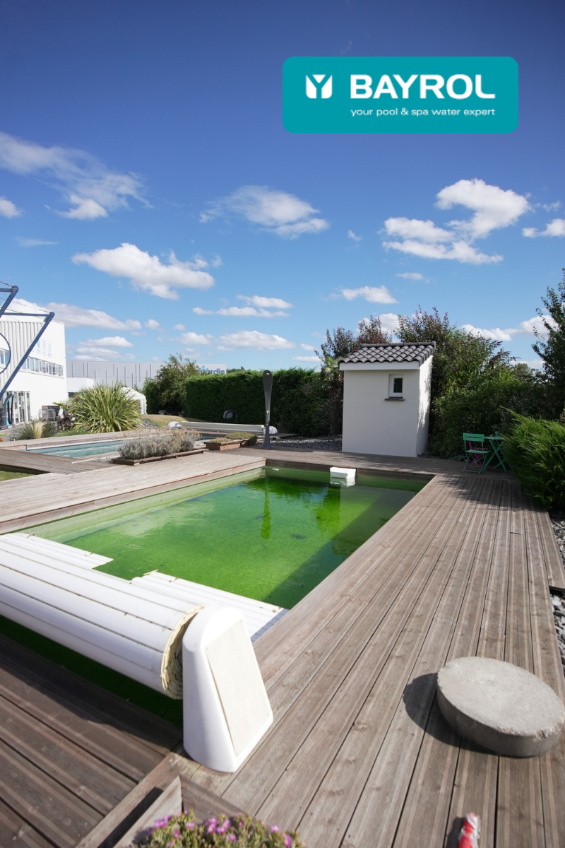 Comment rattraper une eau de piscine verte selon bayrol ?